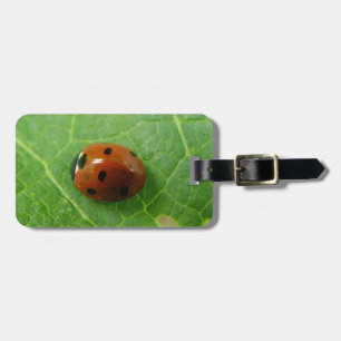 Etiqueta de Bagagem Personalizada Ladybug