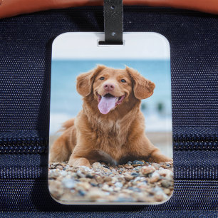 Etiqueta De Bagagem Personalizado 2 Fotografias Crie o seu próprio c