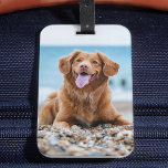 Etiqueta De Bagagem Personalizado 2 Fotografias Crie o seu próprio cão<br><div class="desc">Etiqueta personalizada de bagagem fotográfica do seu melhor amigo. Crie um presente divertido para o seu amante de cachorro, mãe de cachorro ou pai de cachorro favorito. Seja seu Dia de as mães, Dia de os pais, aniversário ou Natal, essas etiquetas de bagagem fotográfica fazem um presente perfeito, e brincadeiras...</div>