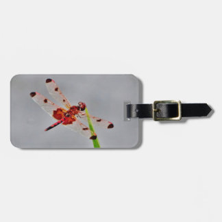 Etiqueta De Bagagem Personalizar produto