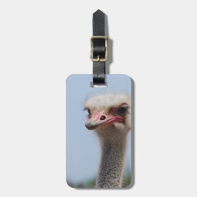 Etiqueta De Bagagem Personalize o produto (Frente Vertical)