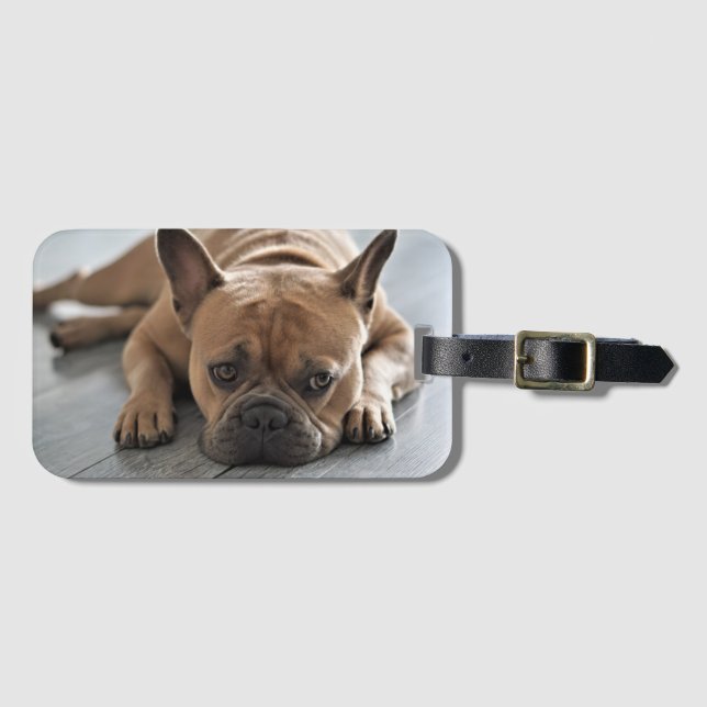 Etiqueta De Bagagem Personalized Pet Dog Photo (Frente Horizontal)