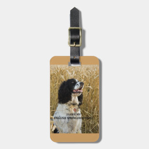 Etiqueta De Bagagem PIC de w do bwlove do spaniel de springer inglês