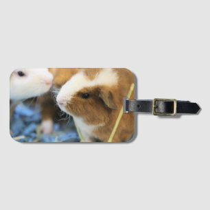 Etiqueta De Bagagem Piggy