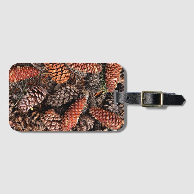 Etiqueta De Bagagem Pine Cones (Frente Horizontal)