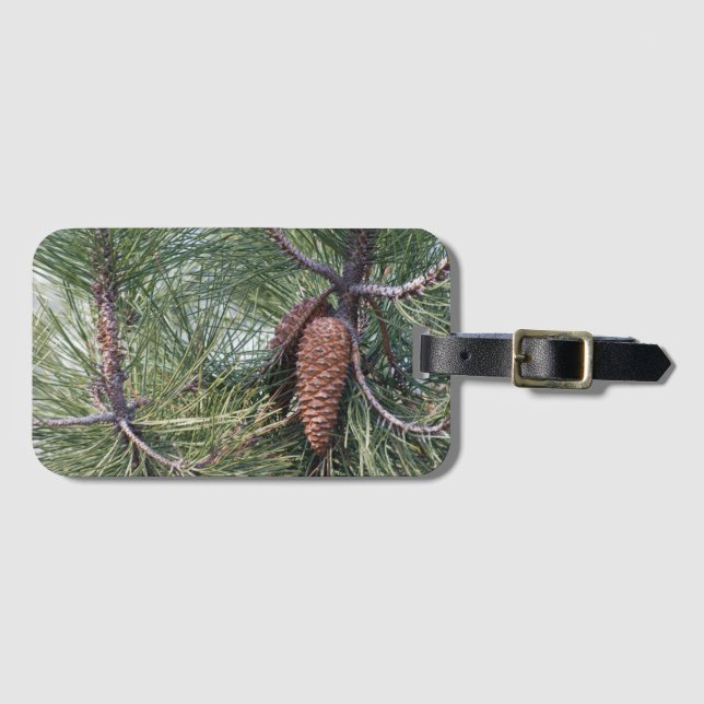 Etiqueta De Bagagem Pinecone no pinheiro (Frente Horizontal)
