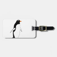 Pinguim bonito