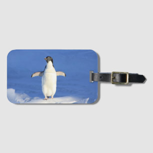 Etiqueta De Bagagem Pinguim engraçado no gelo