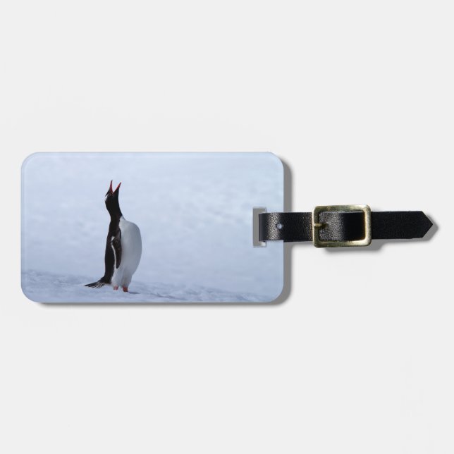 Etiqueta De Bagagem Pinguim gentoo (Frente Horizontal)