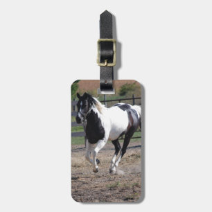 Etiqueta De Bagagem Pinto Paint Horse