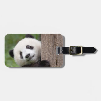 Etiqueta De Bagagem Pintura do filhote da panda