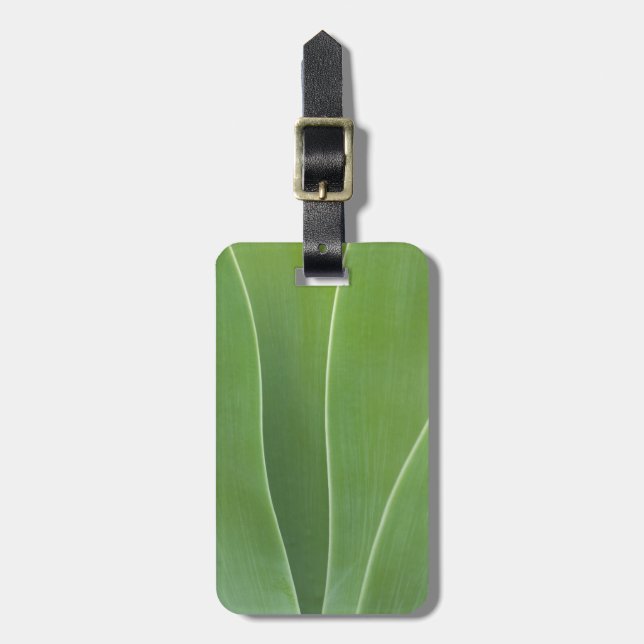 Etiqueta De Bagagem Planta Agave Close Up (Frente Vertical)