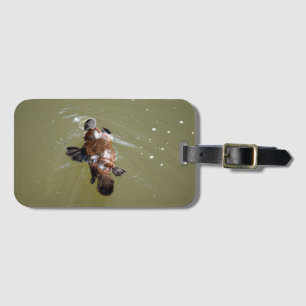 ETIQUETA DE BAGAGEM PLATYPUS & LIBÉLULA EUNGELLA QUEENSLAND AUSTRÁLI