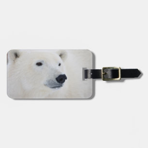 Etiqueta De Bagagem Polar Bear Churchill