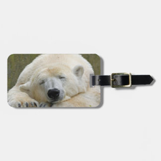 Etiqueta De Bagagem PolarBear20150501
