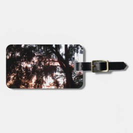 Etiqueta De Bagagem pôr do sol do ouro em novembro através das árvores