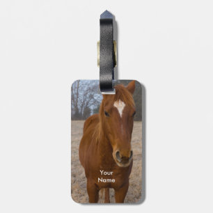 Etiqueta De Bagagem Pose do cavalo