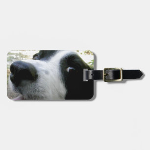 Etiqueta De Bagagem Presentes de border collie