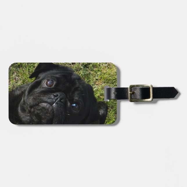 Etiqueta De Bagagem preto do pug (Frente Horizontal)