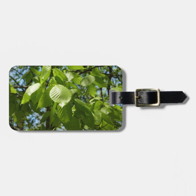 Etiqueta De Bagagem Primavera Birch deixa árvore verde (Frente Horizontal)