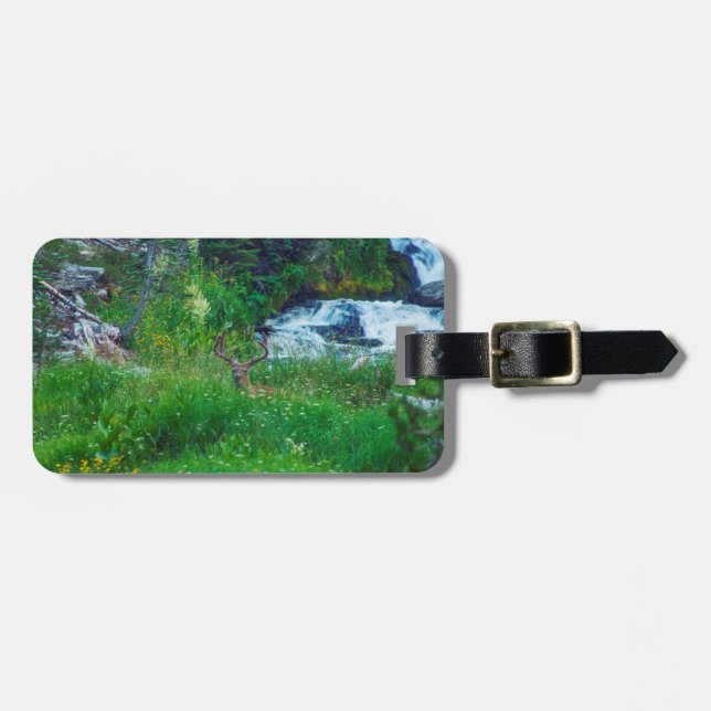 Etiqueta De Bagagem Príncipe da Floresta (Frente Horizontal)