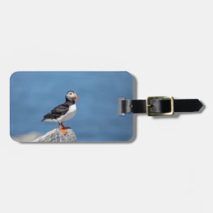 Etiqueta De Bagagem Puffin Atlântico em Machias, Maine