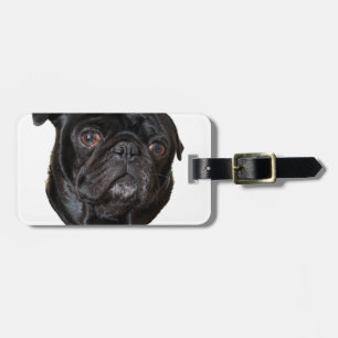 Etiqueta De Bagagem Pug engraçado preto