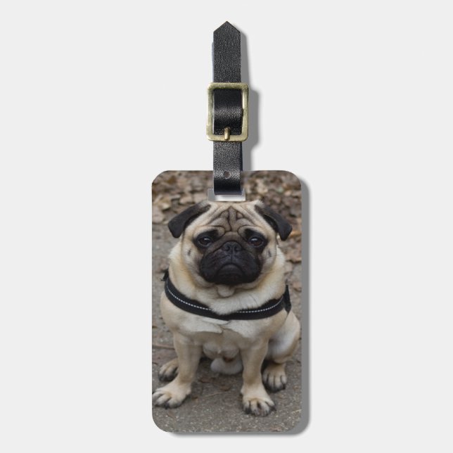 Etiqueta De Bagagem Pug Muito Grave (Frente Vertical)