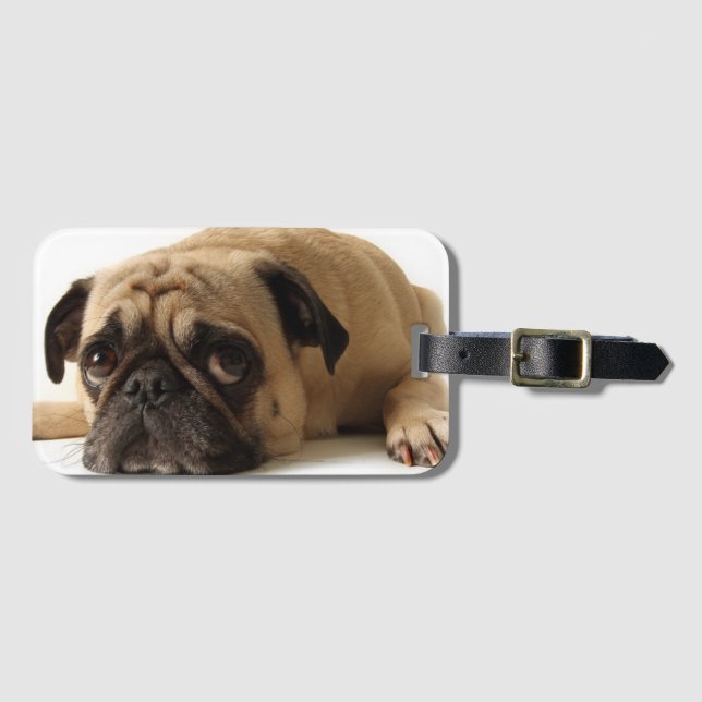 Etiqueta De Bagagem Pug Triste (Frente Horizontal)
