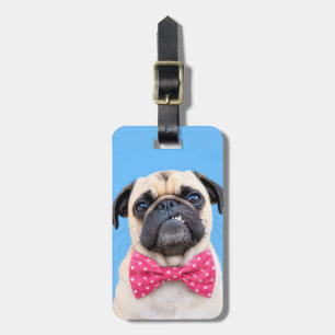 Etiqueta De Bagagem Pug Usando Laço Rosa