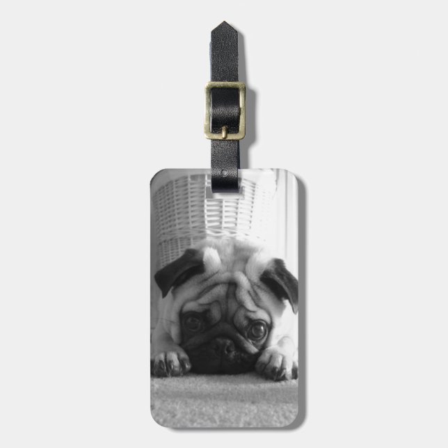 Etiqueta De Bagagem Pugs de SweetPea (Frente Vertical)