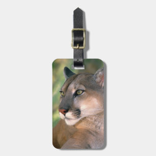 Etiqueta De Bagagem Puma, Califórnia
