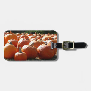 Etiqueta De Bagagem Pumpkins Foto para Queda, Dia das Bruxas ou Ação