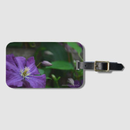 Etiqueta De Bagagem Purple Clematis