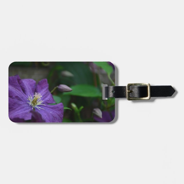 Etiqueta De Bagagem Purple Clematis (Frente Horizontal)