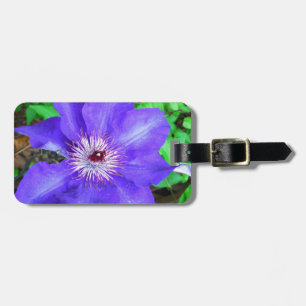 Etiqueta De Bagagem Purple Clematis Flower