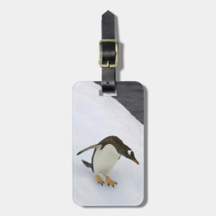 Etiqueta De Bagagem Pygoscelis papua do pinguim de Gentoo) que está