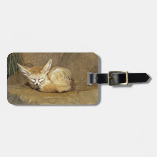 Etiqueta De Bagagem raposa do fennec