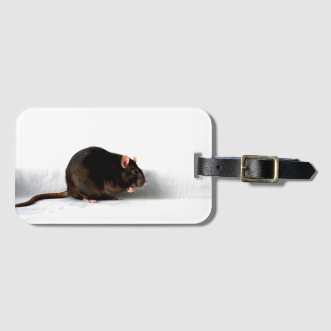 Etiqueta De Bagagem Rat bc ltcnm (Frente Horizontal)