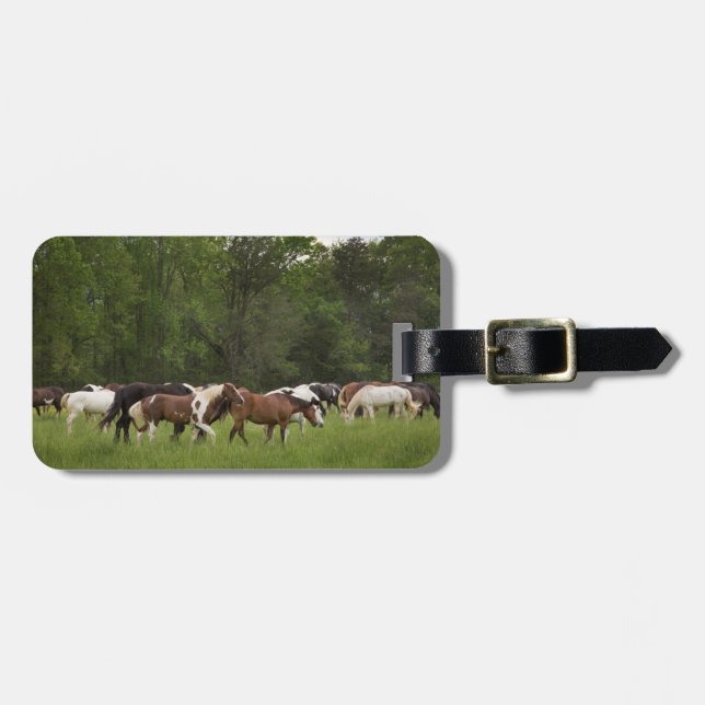 Etiqueta De Bagagem Rebanho de cavalos, Tennessee (Frente Horizontal)