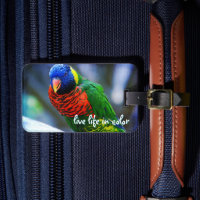 Red Blue Green Bird Live Life in Color Cote