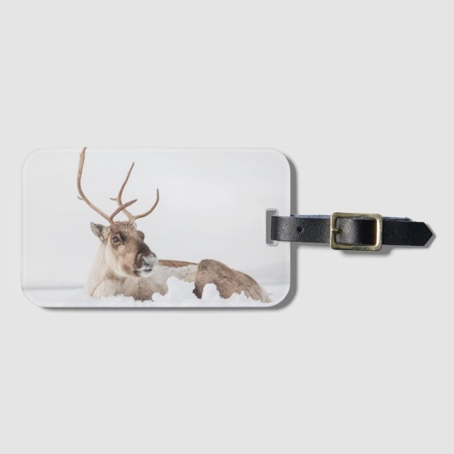 Etiqueta De Bagagem Reindeer Nature Photo (Frente Horizontal)