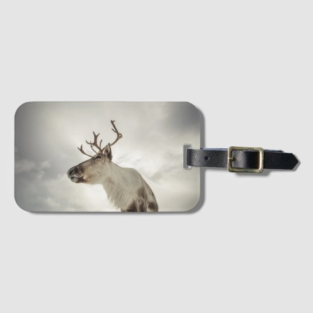 Etiqueta De Bagagem Reindeer Nature Photo (Frente Horizontal)