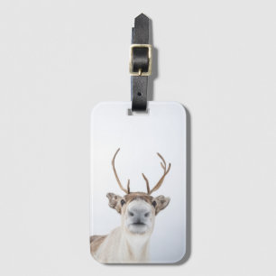Etiqueta De Bagagem Reindeer Nature Photo