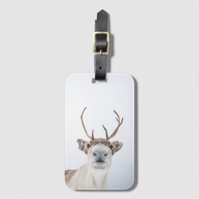 Etiqueta De Bagagem Reindeer Nature Photo (Frente Vertical)