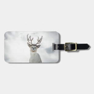 Etiqueta De Bagagem Reindeer Nature Photo