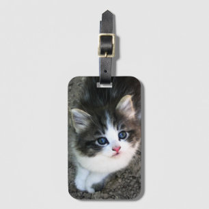 Etiqueta De Bagagem Retrato de Kitten SUPER CUTE