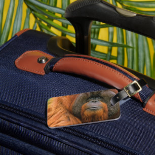 Etiqueta De Bagagem Retrato de Orangutango Macho, Geórgia, EUA