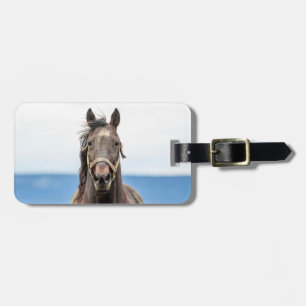 Etiqueta De Bagagem Retrato de um cavalo