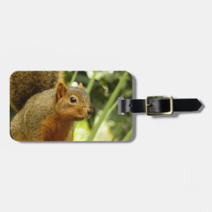 Etiqueta De Bagagem Retrato de um Esquilo Fotografia Animal
